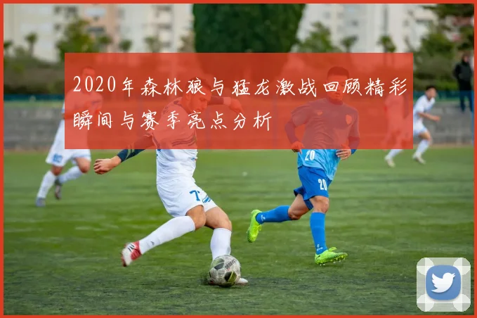 2020年森林狼与猛龙激战回顾精彩瞬间与赛季亮点分析