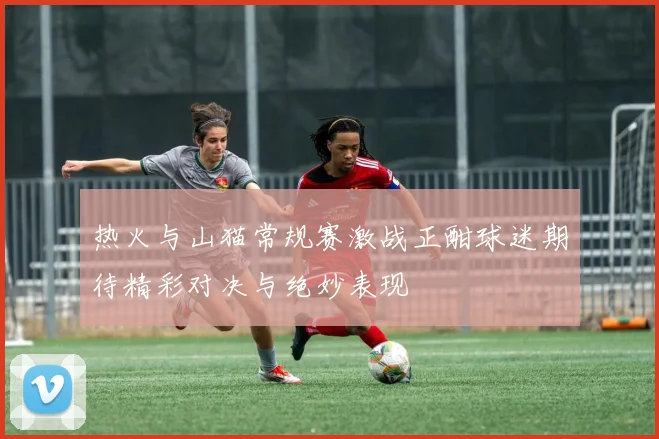 热火与山猫常规赛激战正酣球迷期待精彩对决与绝妙表现