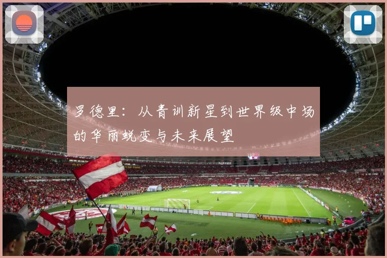 罗德里：从青训新星到世界级中场的华丽蜕变与未来展望