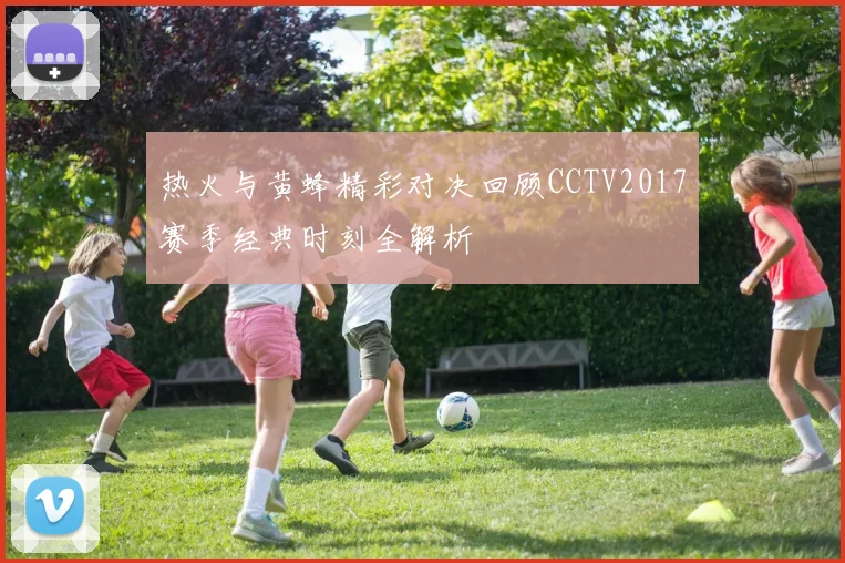 热火与黄蜂精彩对决回顾CCTV2017赛季经典时刻全解析