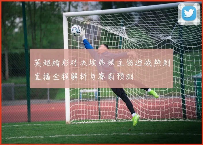 英超精彩对决埃弗顿主场迎战热刺直播全程解析与赛前预测