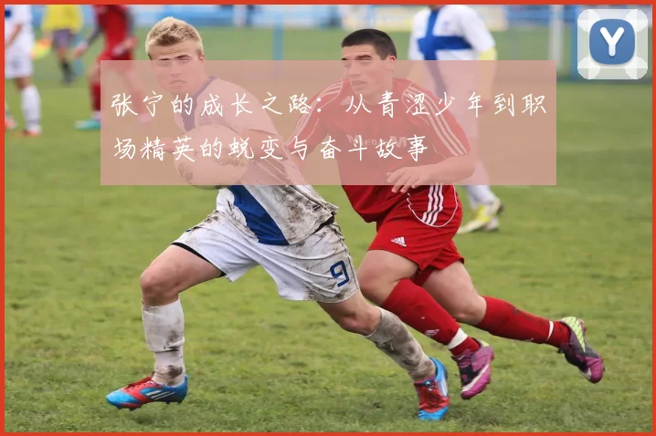 张宁的成长之路：从青涩少年到职场精英的蜕变与奋斗故事