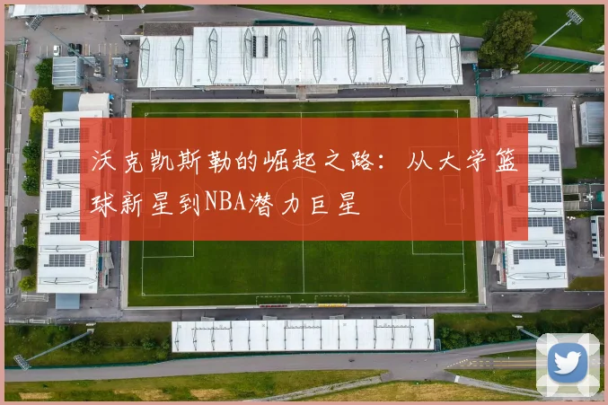 沃克凯斯勒的崛起之路：从大学篮球新星到NBA潜力巨星